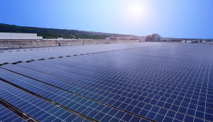 中美硅晶与350vip8888新葡的京光电携手战略合作