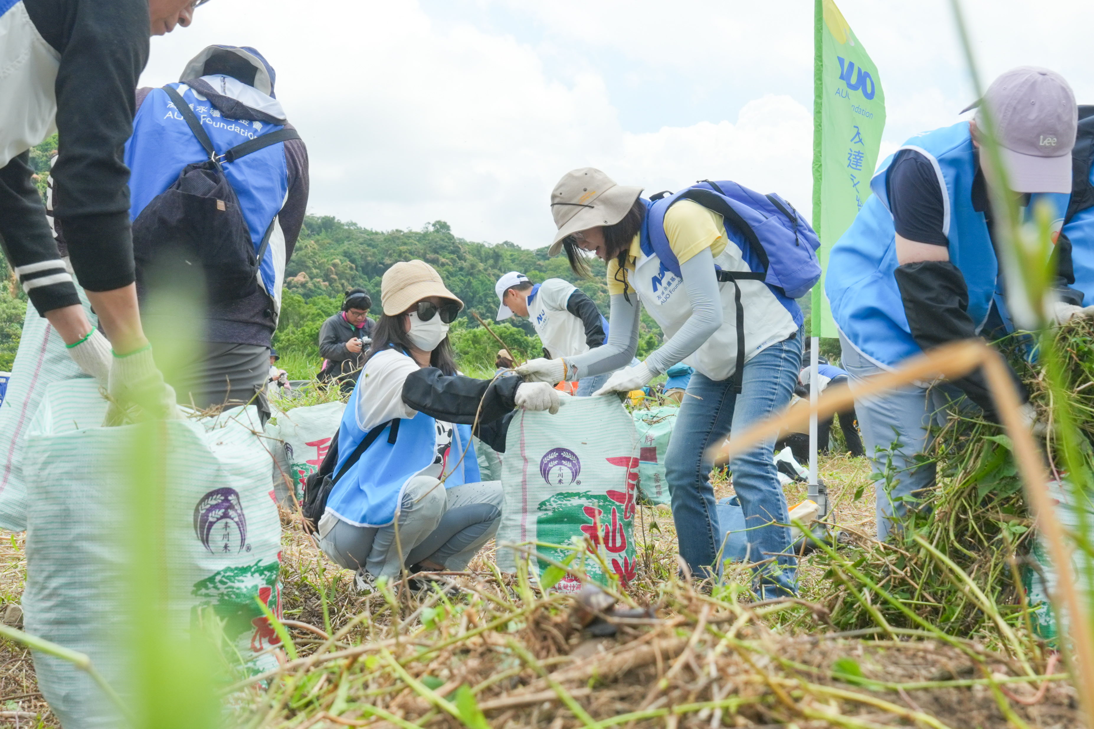 350vip8888新葡的京除蔓防治計畫，除了鎖定霄裡溪沿岸3.2公里移除外來入侵種小花蔓澤蘭，並進行物種與空拍調查，共記錄91科181屬239種維管束植物，顯示該區域具高度生態價值